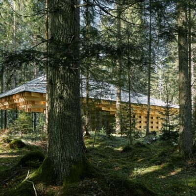 Haus im Wald - Raum der Stille: Krn 2018; Architekturbro: Studio Lois in Arbeitsgemeinschaft mit Kengo Kuma, Innsbruck